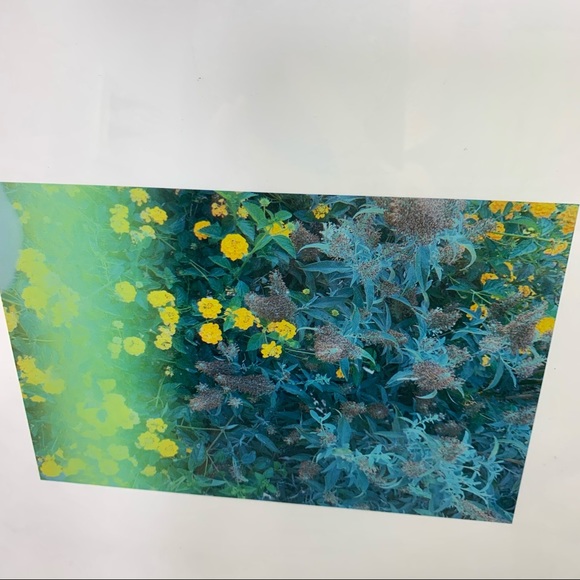 Lovely Star Original Photography Print - Picture 1 of 9